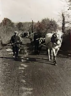 cheval-ferme-la-legerie-saint-maurice-etusson-autrefois